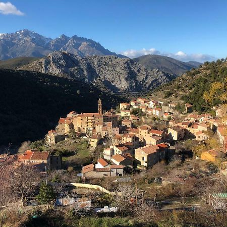 Charmant F2 Dans Joli Village Corse Omessa Buitenkant foto