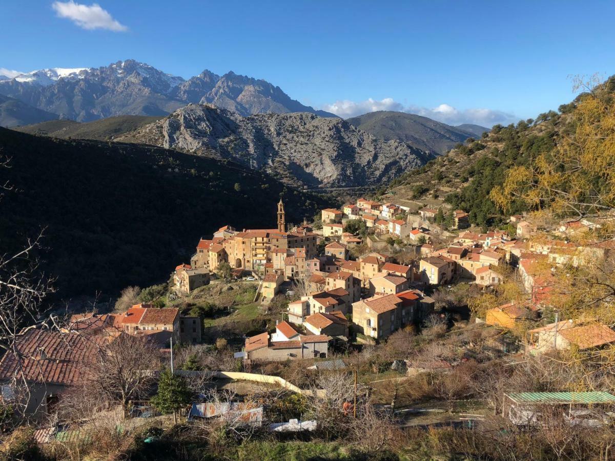 Charmant F2 Dans Joli Village Corse Omessa Buitenkant foto